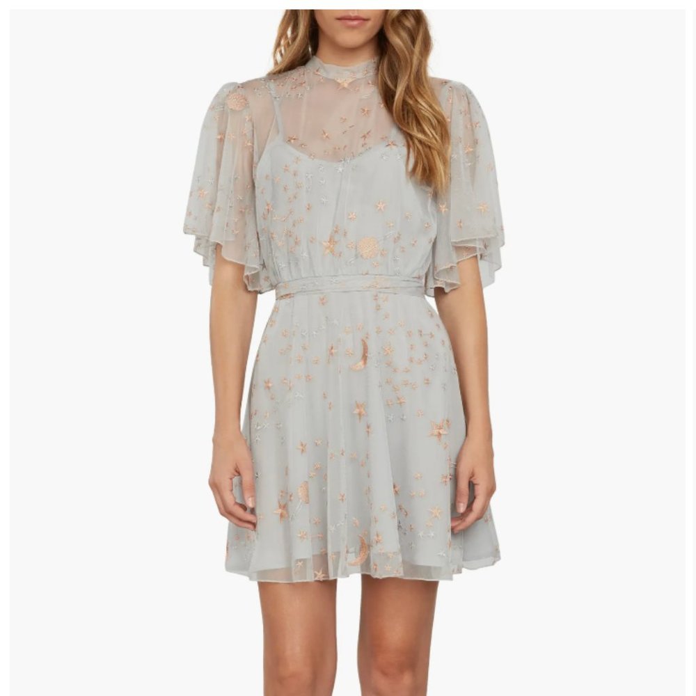 Willow and Clay Embroidered Minidress